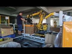 Portone di parcheggio DZJ della barriera del braccio